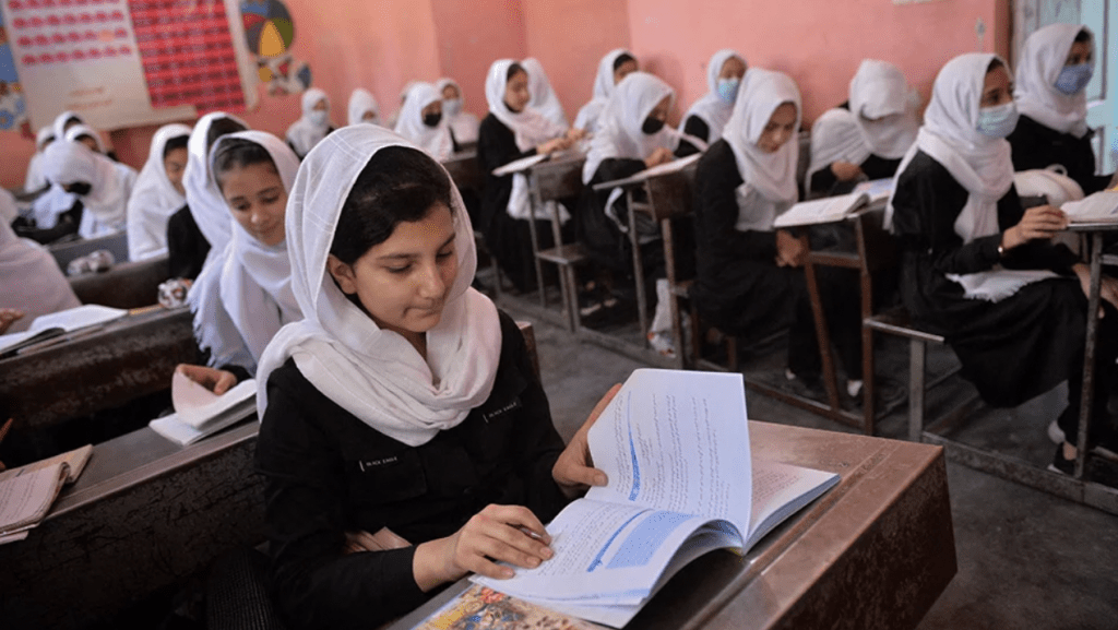 Afghan female students reading